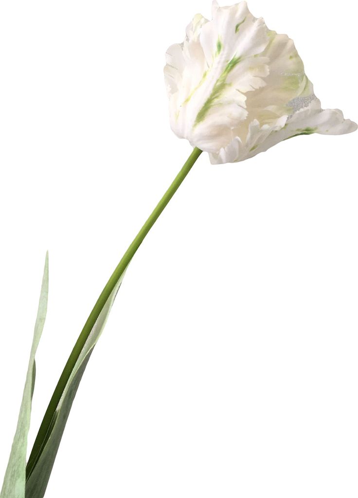 1pc künstliche Blume Lebendige dekorative 68 cm 3d Papagei Tulpe Real Touch Fake Flower Decor für Zuhause-Weiß