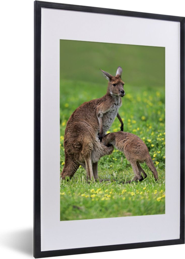 MuchoWow MuchoWow Gerahmtes Poster Känguru - Blumen - Jung 40x60 cm - Poster mit zchwarzem Bilderrahmen - Poster in Rahmen