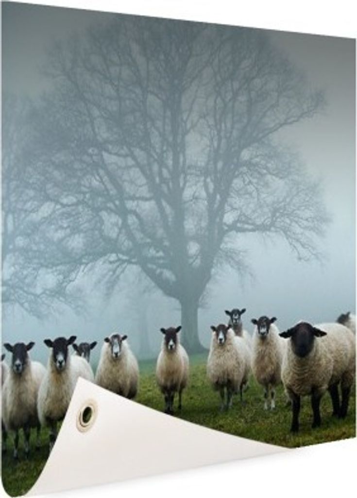 MuchoWow 50x50 cm Outdoor-Poster Gartendeko Sichtschutz Garten Poster für den Garten Schaf - Baum - Nebel