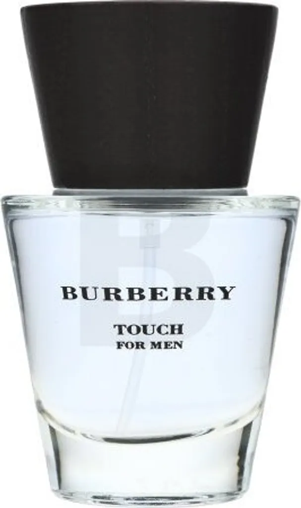 Eau de Toilette Burberry Touch pour Homme 50 ml Parfum Boisé Musqué