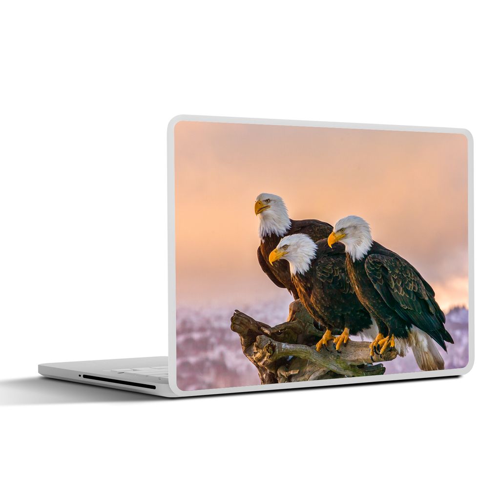 MuchoWow Laptop Aufkleber Sticker Cover Vögel - Natur - Raubvögel - Adler 36.5x27.5 cm - Laptop-Sticker