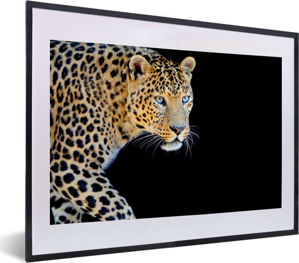 MuchoWow MuchoWow Gerahmtes Poster Panther - Jagd - Schwarz 40x30 cm - Poster mit zchwarzem Bilderrahmen - Bilderrahmen - Poster im Rahmen