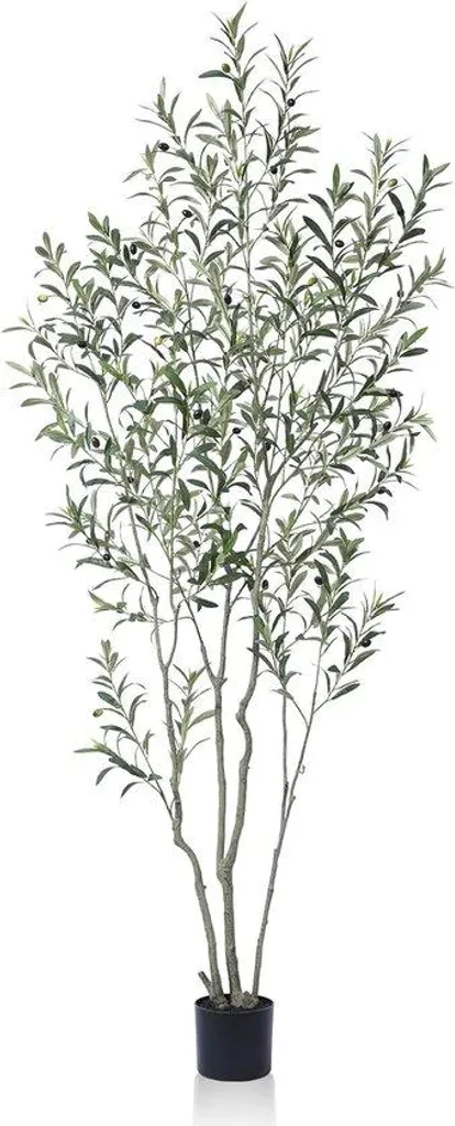 Grand olivier artificiel pour salon et bureau - Plante 210 cm verte