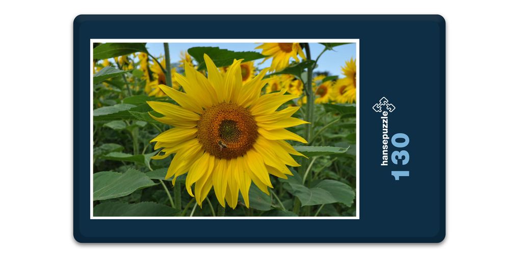 hansepuzzle 17192 - Sonnenblume Puzzle, 130 Teile, Natur, 28,7 x 20,0cm mit hochwertiger Aufbewahrung, Kartonbox und wiederverschließbarem Beutel