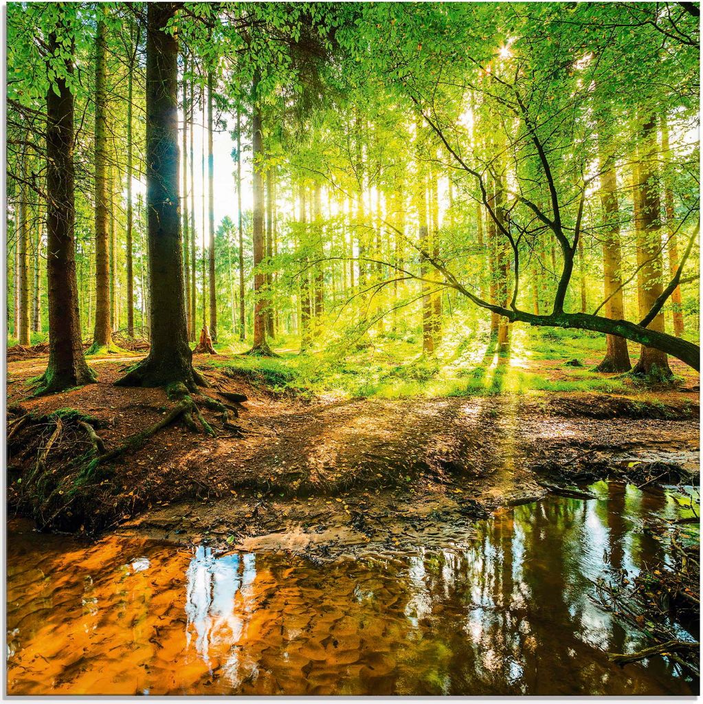 ARTland Glasbild Wald mit Bach Größe: 20x20 cm Produktbild 