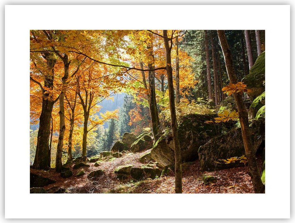 Poster - Poster ohne Rahmen - Herbst berg wald natur - 40x30 cm - Wand Bild - Wanddeko - Wandbilder - Kunstposter - Wandposter - Bilder - Kunstdruc...
