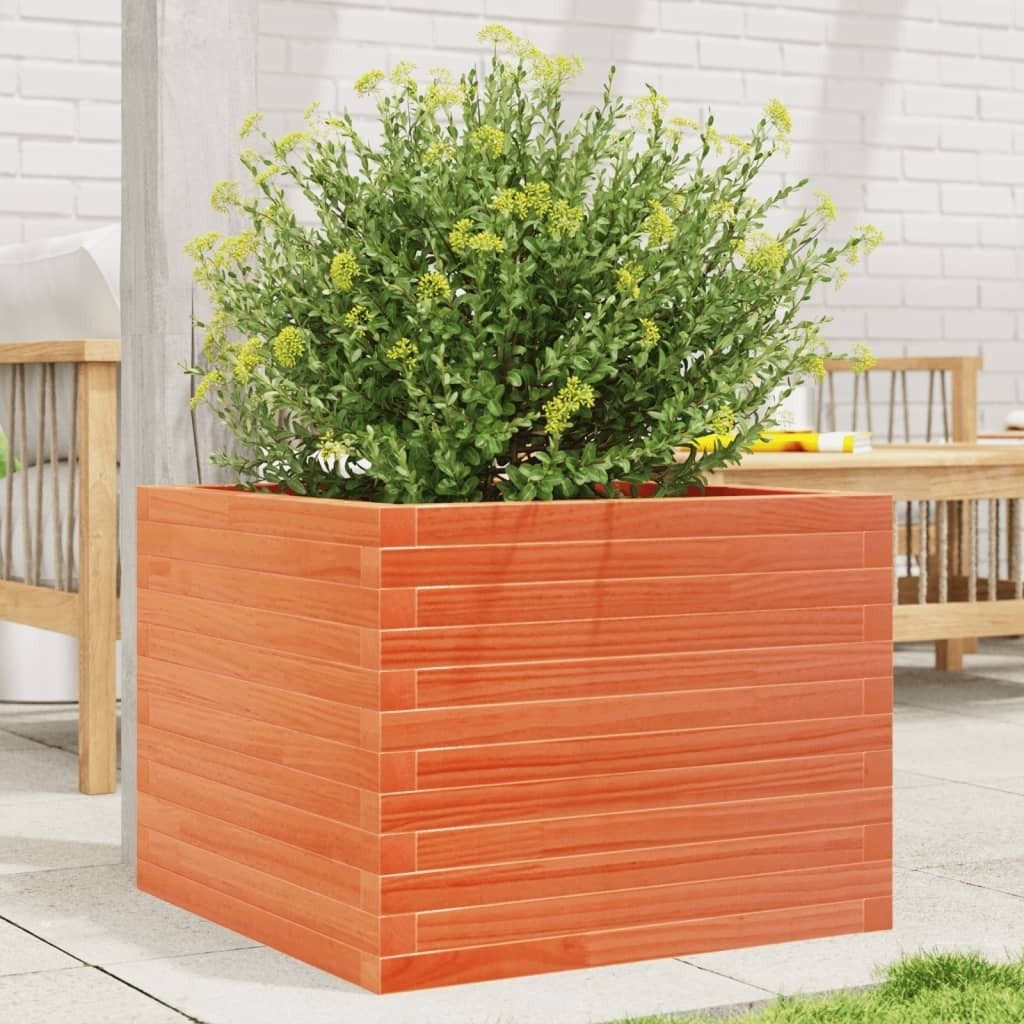 Maison Exclusive - Pflanzkübel Wachsbraun 60x60x45,5 cm Massivholz Kiefer