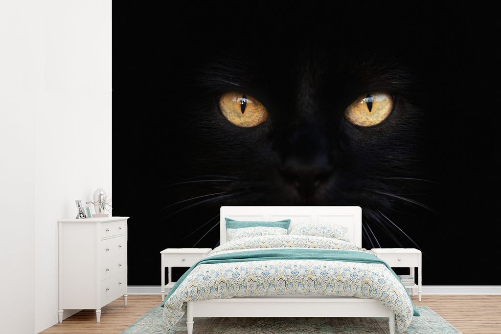 MuchoWow Fototapete für Wohnzimmer oder Schlafzimmer Wandtapete Vinyl Motivtapete Nahaufnahme einer schwarzen Katze - 360x260 cm - Wohnzimmer ta...