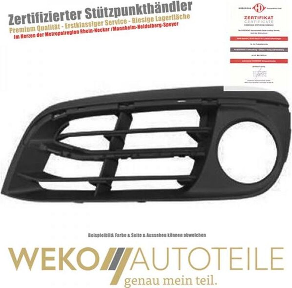 Lüftungsgitter Stoßstange vorne links DIEDERICHS 1225149 für BMW
