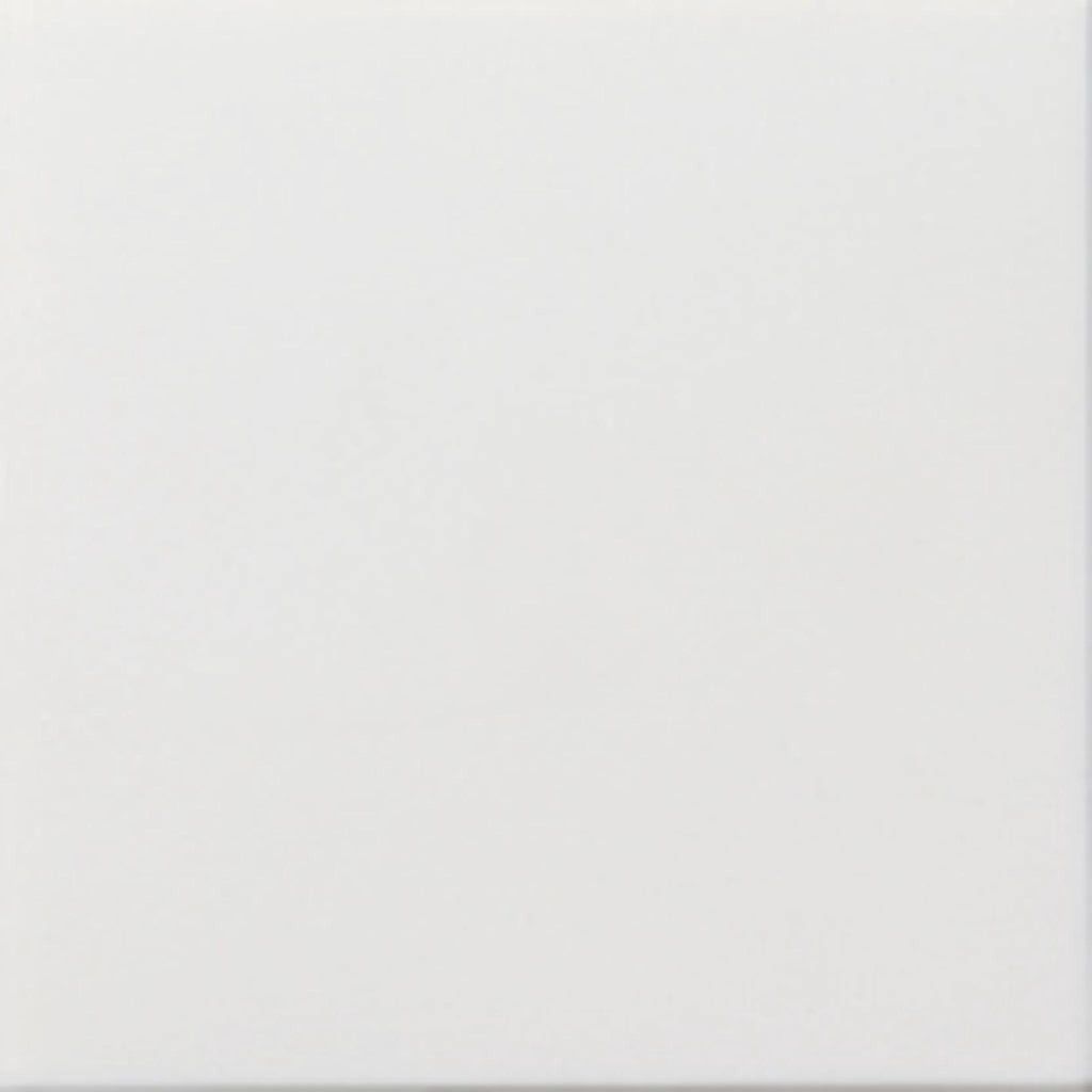 A plain white square tile.