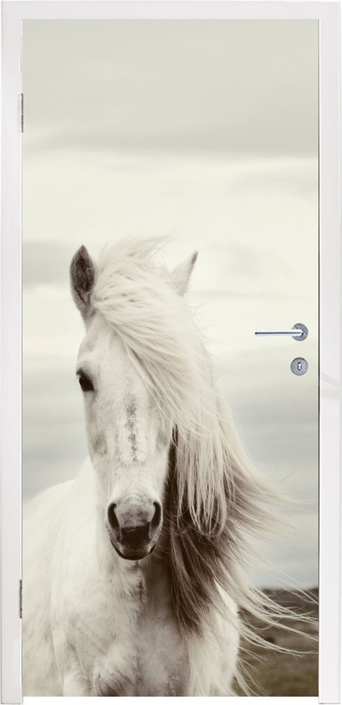 MuchoWow Türtapete Selbstklebende Türfolie Pferd - Strand - Mähne 85x205 cm Türposter Türaufkleber Klebefolie Türklebefolie - Türverzierun...