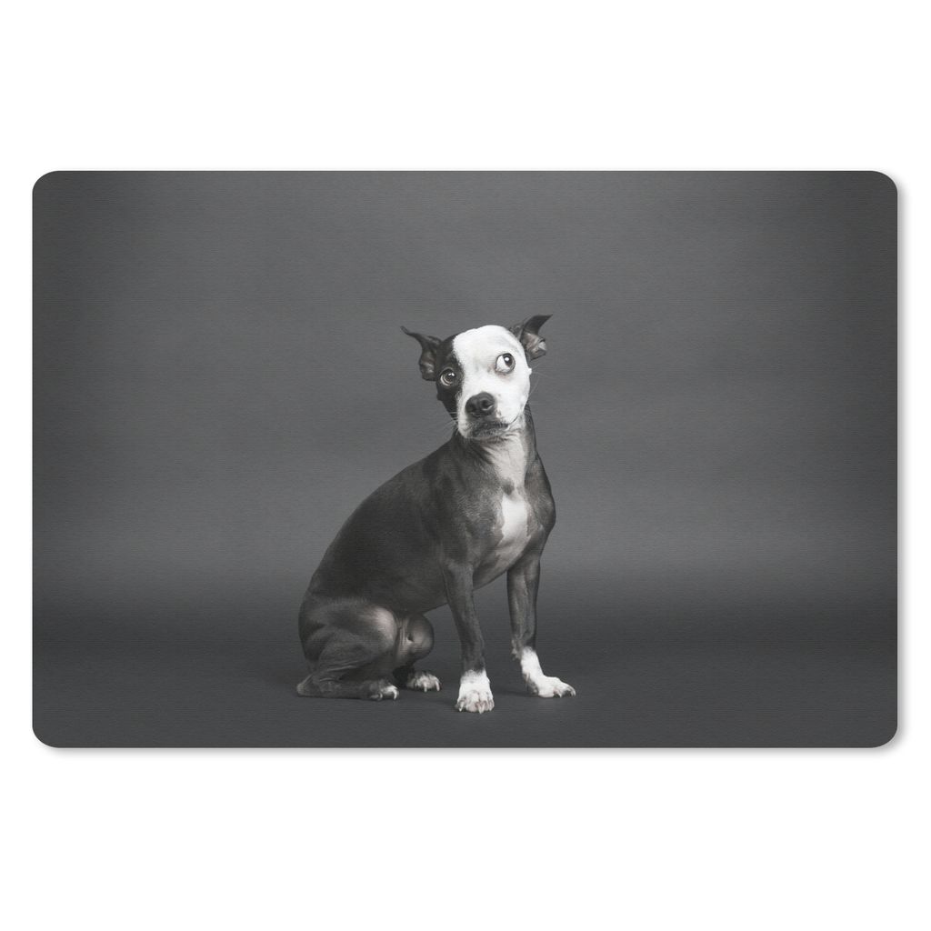 MuchoWow Schreibtischunterlage Hund - Spot - Porträt 60x40 cm - XXL Mauspad