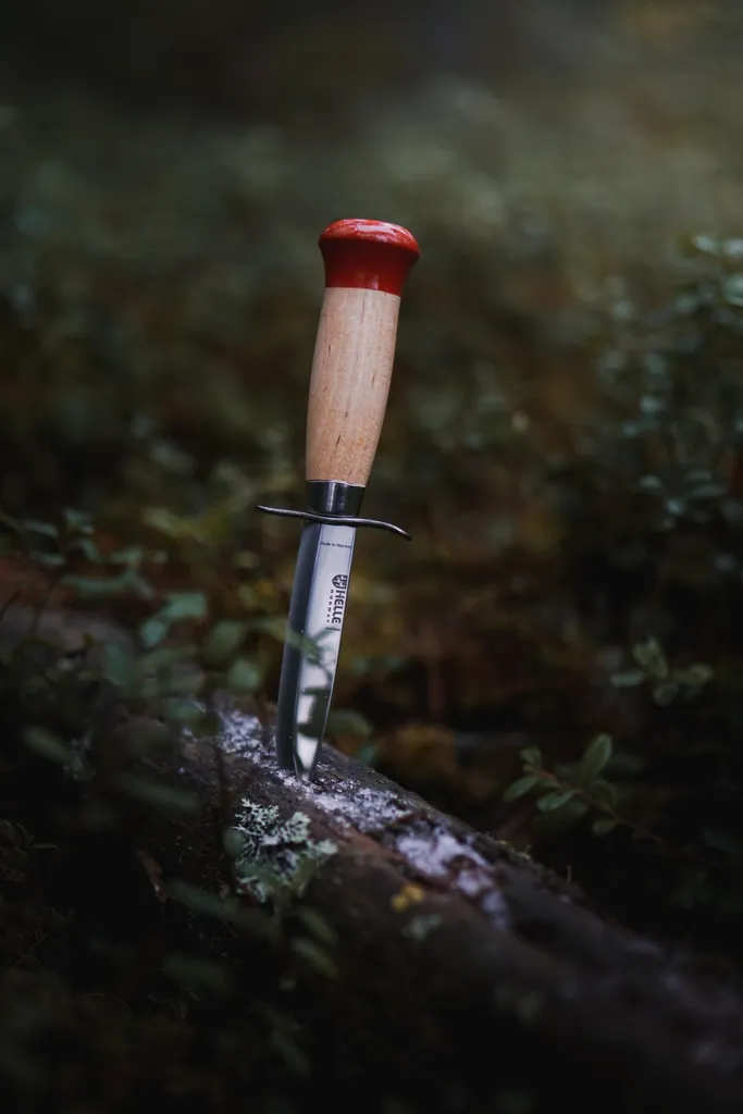 Sécurisez l'apprentissage : couteau Helle Speider Pike avec garde fixe