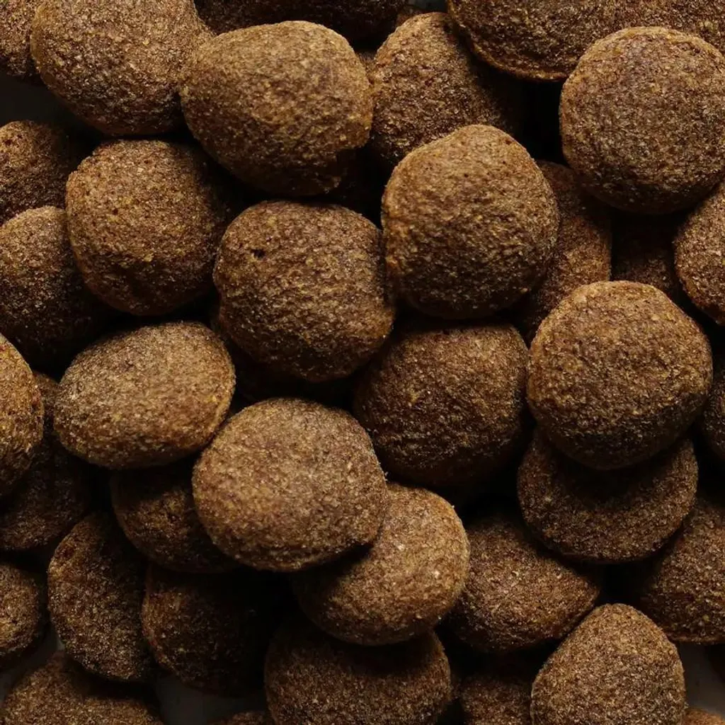 Alimentation Chien Actif Biofeed Medium Large Bœuf - Sac de 15 kg