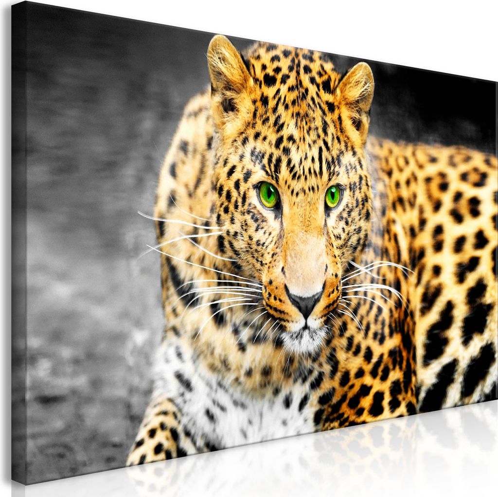 Wandbild Mega XXXL Leopard 250x125 cm Einteiliger XXL-Format Kunstdruck zur Selbstmontage Leinwandbilder moderne Bilder DIY Wanddekoration Wohnung ...