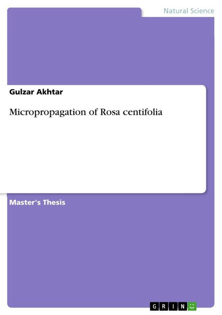 Micropropagation of Rosa centifolia