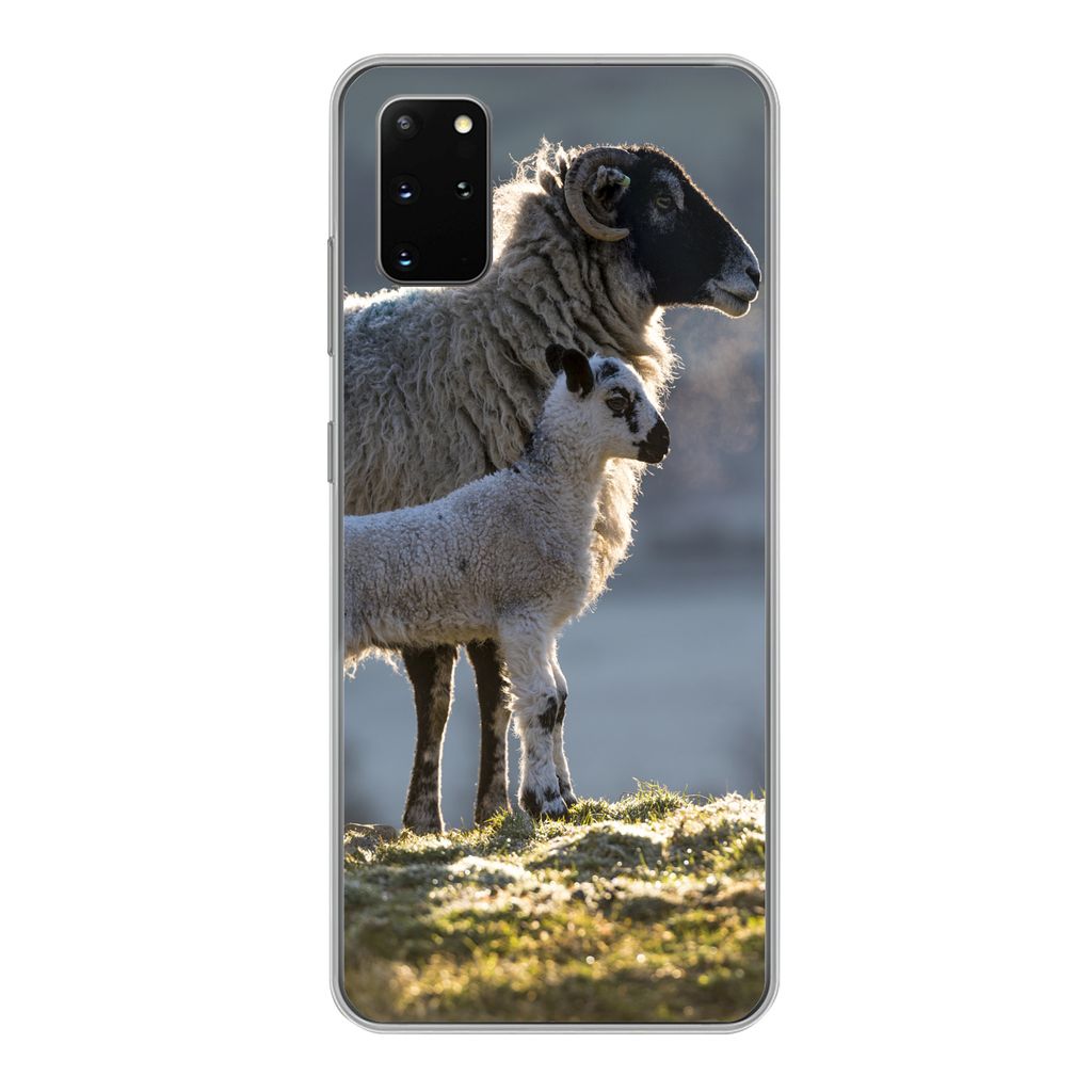 MuchoWow Handyhülle Schutzhülle Hülle für Samsung Galaxy S20 Plus Schaf - Lamm - Sonne Silikon Softcase Handy Hülle - Hartschale