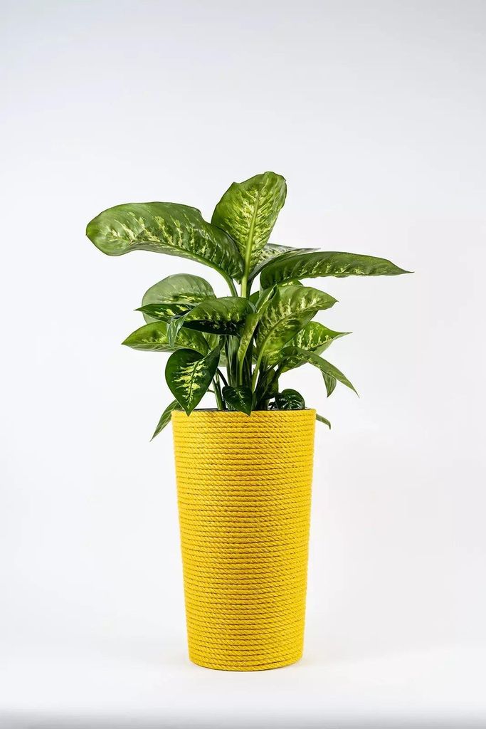 Adoni Jute Blumentopf Gelb 28x47 cm - Pflanzkübel mit Einsatz Handgemacht Übertopf Hoch Blumenkübel Pflanzgefäß Boho Wohnzimmer Zimmerpflanzen