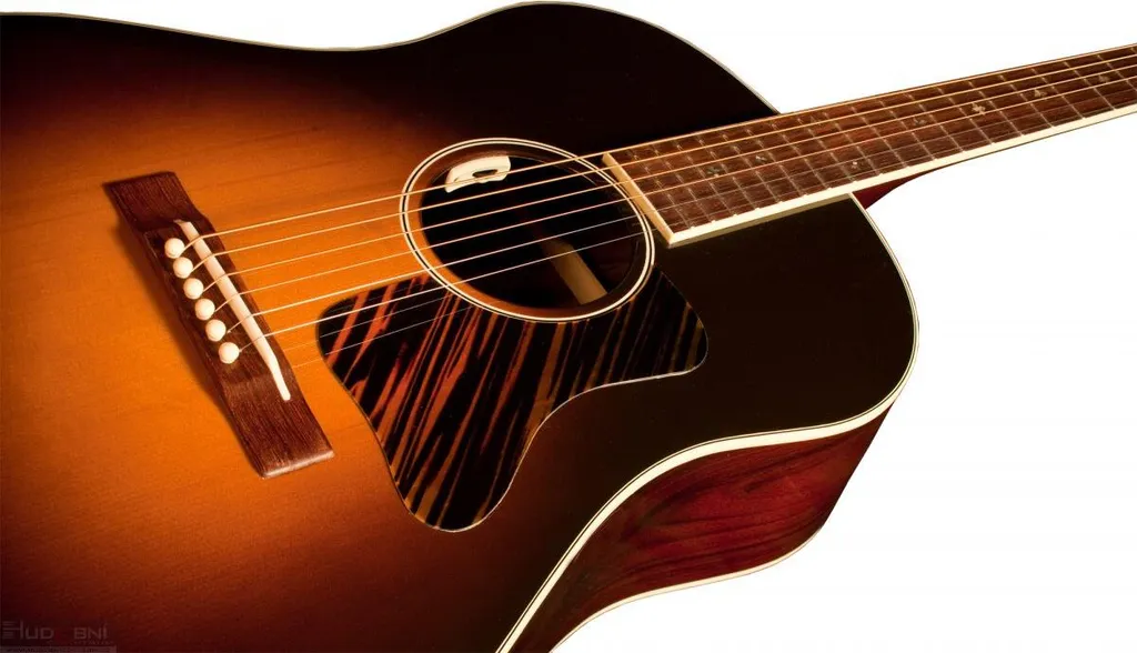 L.R. Baggs Anthem-SL Micro pour Guitare - Solution Idéale Scène et Studio - 3