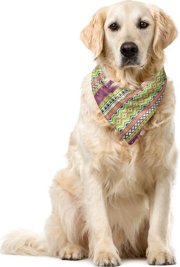 ABAKUHAUS aztekisch Haustier Bandana, Bunte Muster Stripes Kunst, 55x55 cm, Mehrfarbig