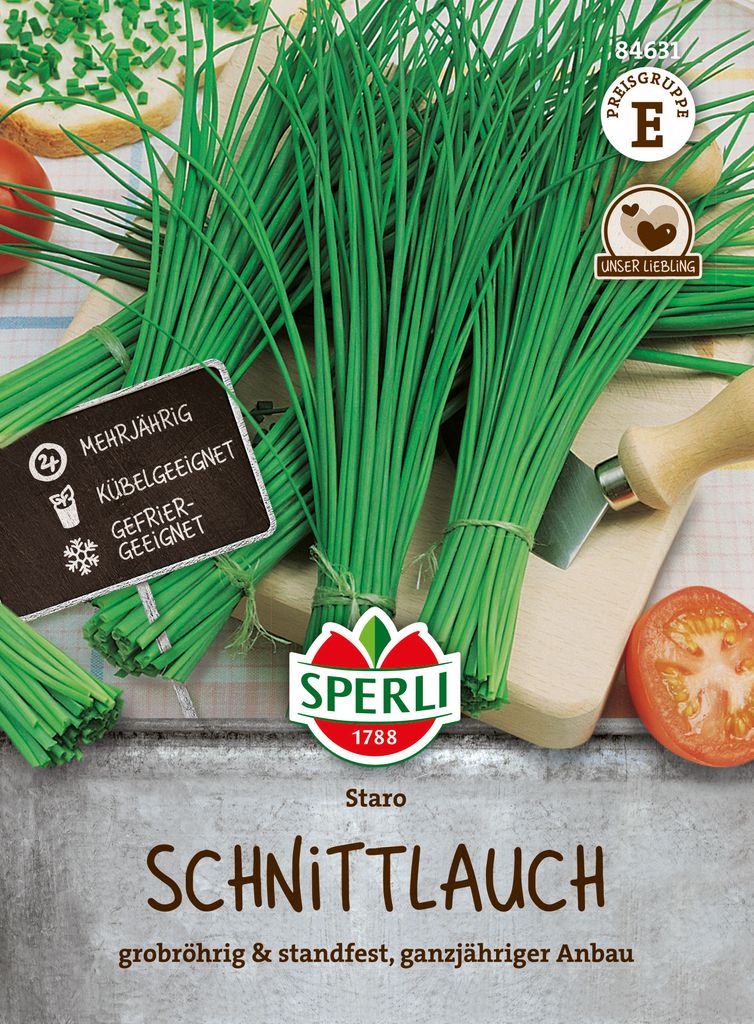 Schnittlauch ''Staro'' grobröhrig, aromatisch mit hohem Produktbild 