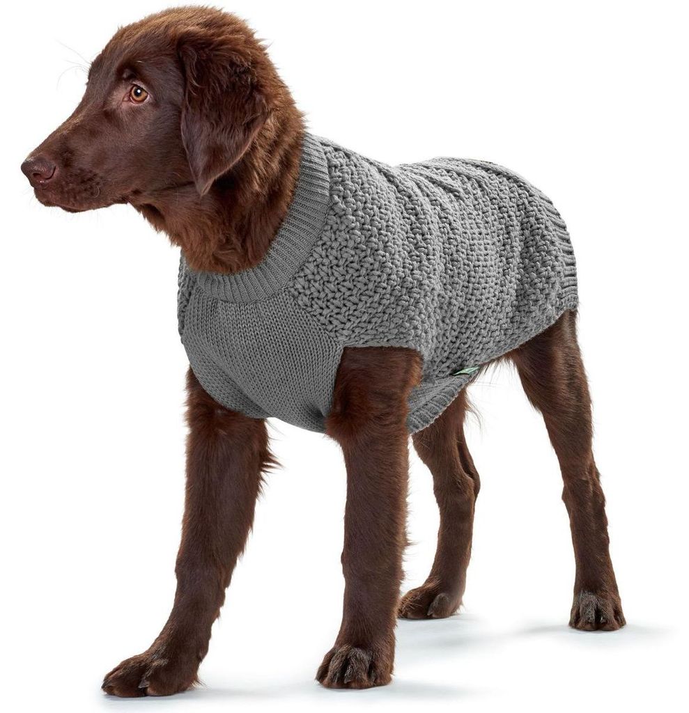 Jersey für den Hund Hunter Malmö