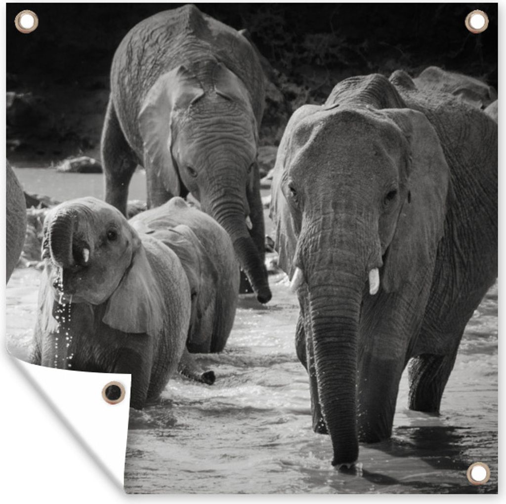 MuchoWow 100x100 cm Outdoor-Poster Gartendeko Sichtschutz Garten Poster für den Garten Familie Elefanten im Wasser in schwarz und weiß