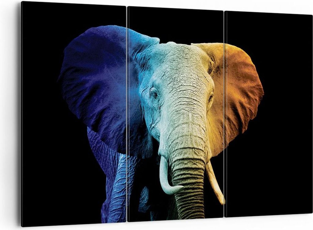 Bild auf Leinwand - Leinwandbild - 3 Teile - Bunt Elefant Fotografie - 165x110cm - Wand Bild - Wanddeko - Wandbilder - Leinwanddruck - Bilder - Wan...