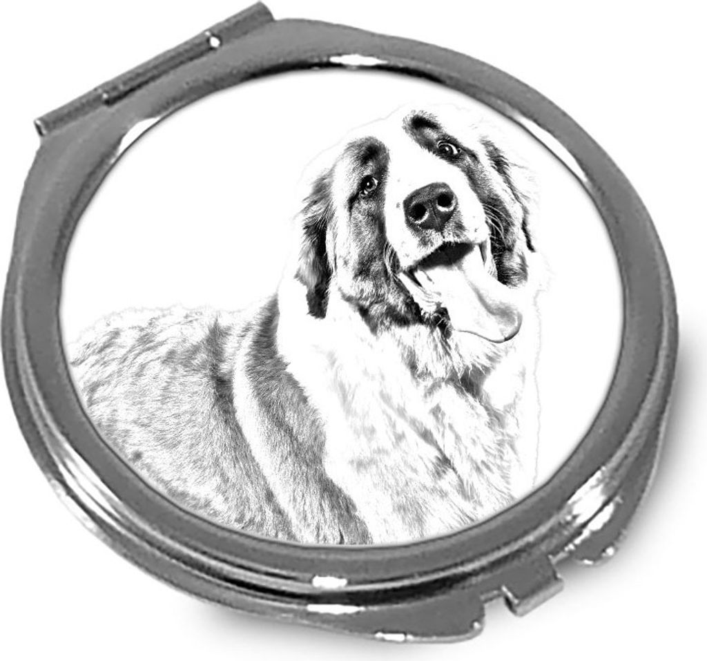 St. Bernhardshund, Bernhardiner - Taschenspiegel mit Hund, personalisierter Taschenspiegel, kompakter Spiegel mit Art-Dog-Logo