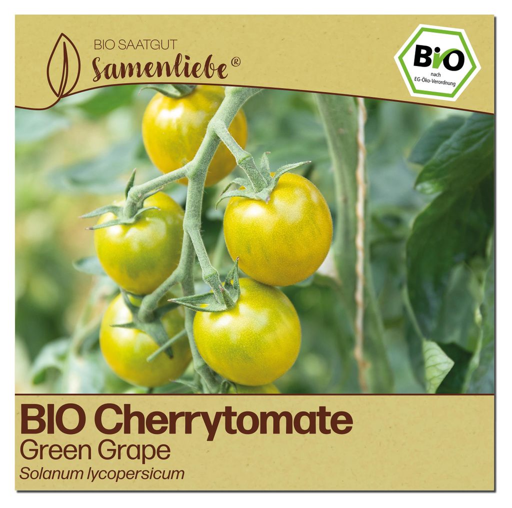 Samenliebe  Tomate Samen | Green Grape - grün & süß Produktbild 