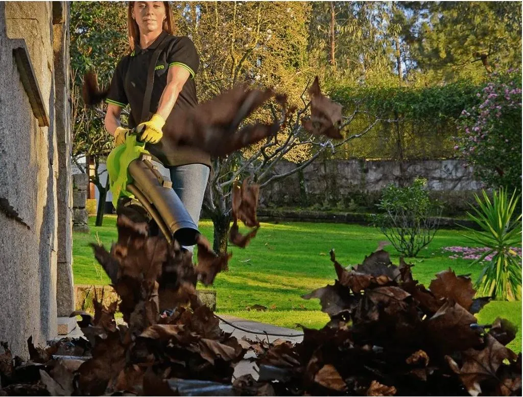 Trasforma il tuo Giardino con VITO 3000W - Aspiratore Foglie Potente - 5