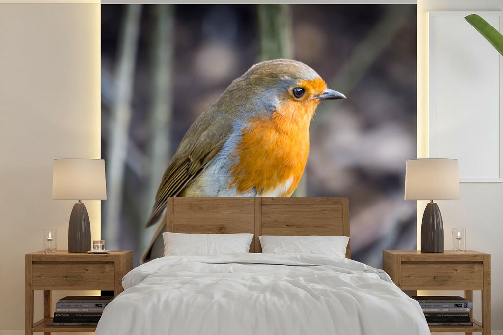 MuchoWow Fototapete für Wohnzimmer oder Schlafzimmer Wandtapete Vinyl Motivtapete Rotkehlchen - Winter - Holz - 350x350 cm - Schlafzimmertapete
