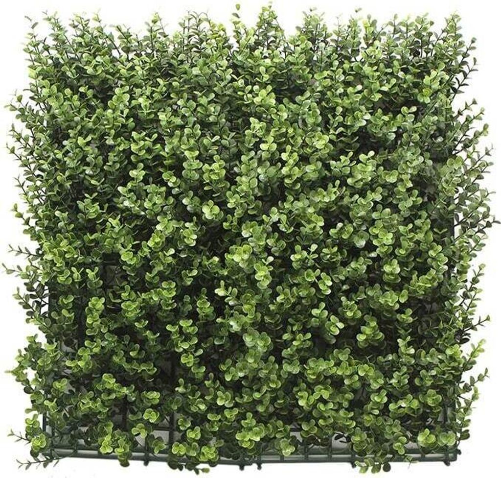 Sztuczny żywopłot bukszpan Lea - 100 x 100 cm - Sztuczny Zdjęcie produktu 