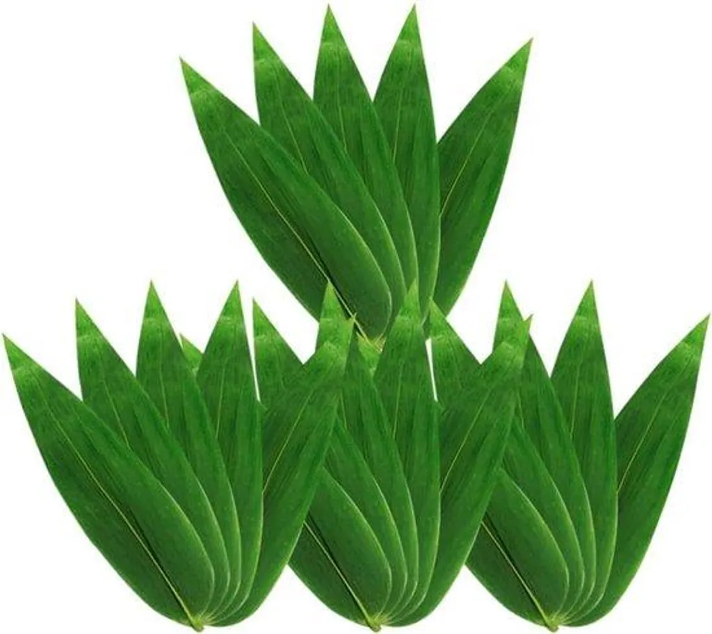 Lot Déco Sushi en Feuilles de Bananier - Résistant à la Cuisson Vapeur 1kg