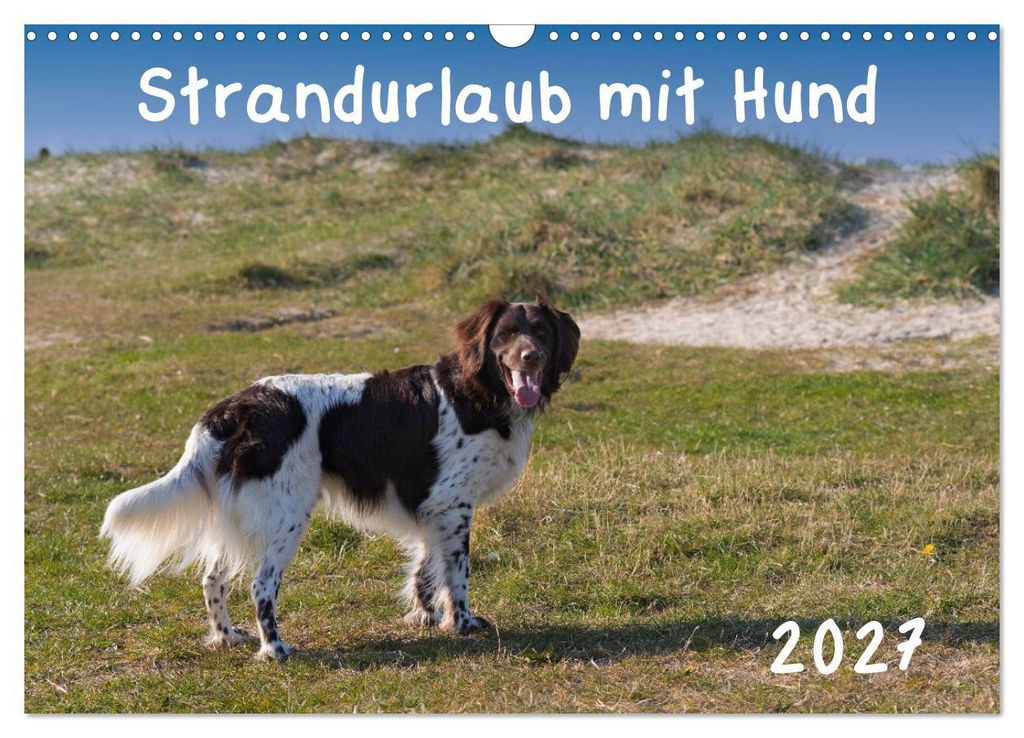 Strandurlaub mit Hund (Wandkalender 2027 DIN A3 quer), CALVENDO Monatskalender