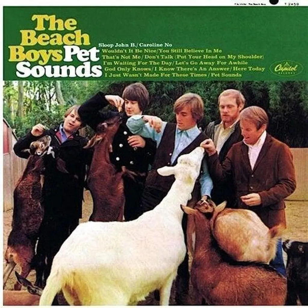 Écoutez Pet Sounds des Beach Boys en Vinyle 200g 45 Tours Son Premium