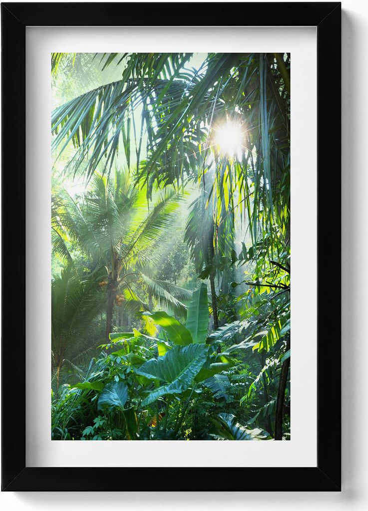 Grüner Dschungel voller Pflanzen– Wandbild mit Rahmen – Gerahmtes Bild – Wanddekoration – 20x30 cm – Schwarz