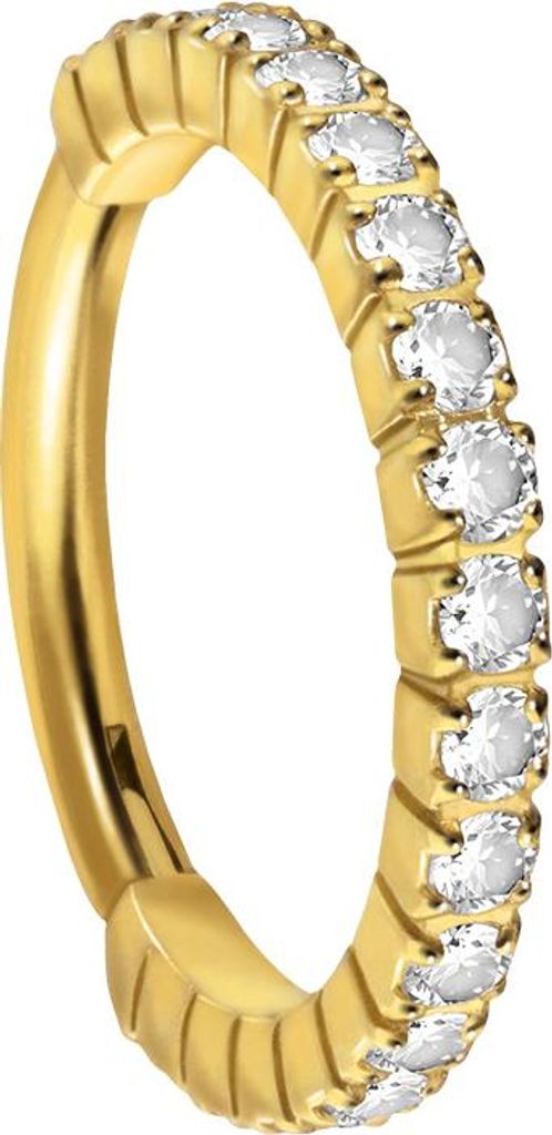 Ohrpiercing, Nasenpiercing, Septum Piercing Titan Segmentring Clicker EINGEFASSTE KRISTALLE Gold Innendurchmesser: 10 mm
