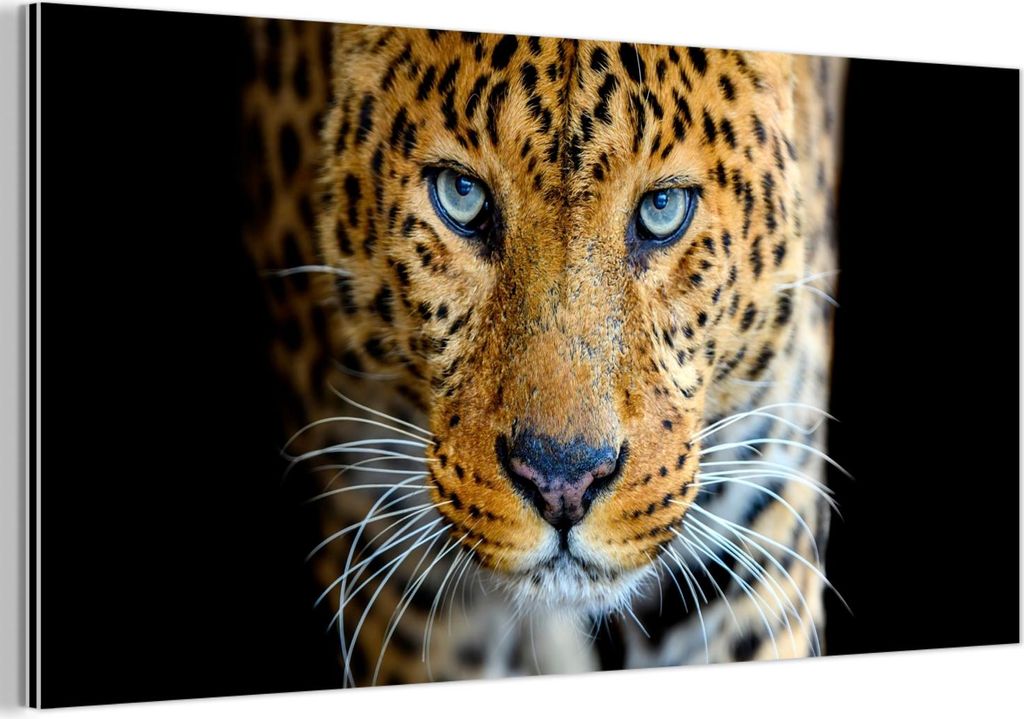MuchoWow Wanddekoration Metall Metallbild Wandkunst 80x40 cm Leopard - Tiere - Porträt - Wildtiere - Schwarz MuchoWow Aluminium Gemälde - Wanddek...