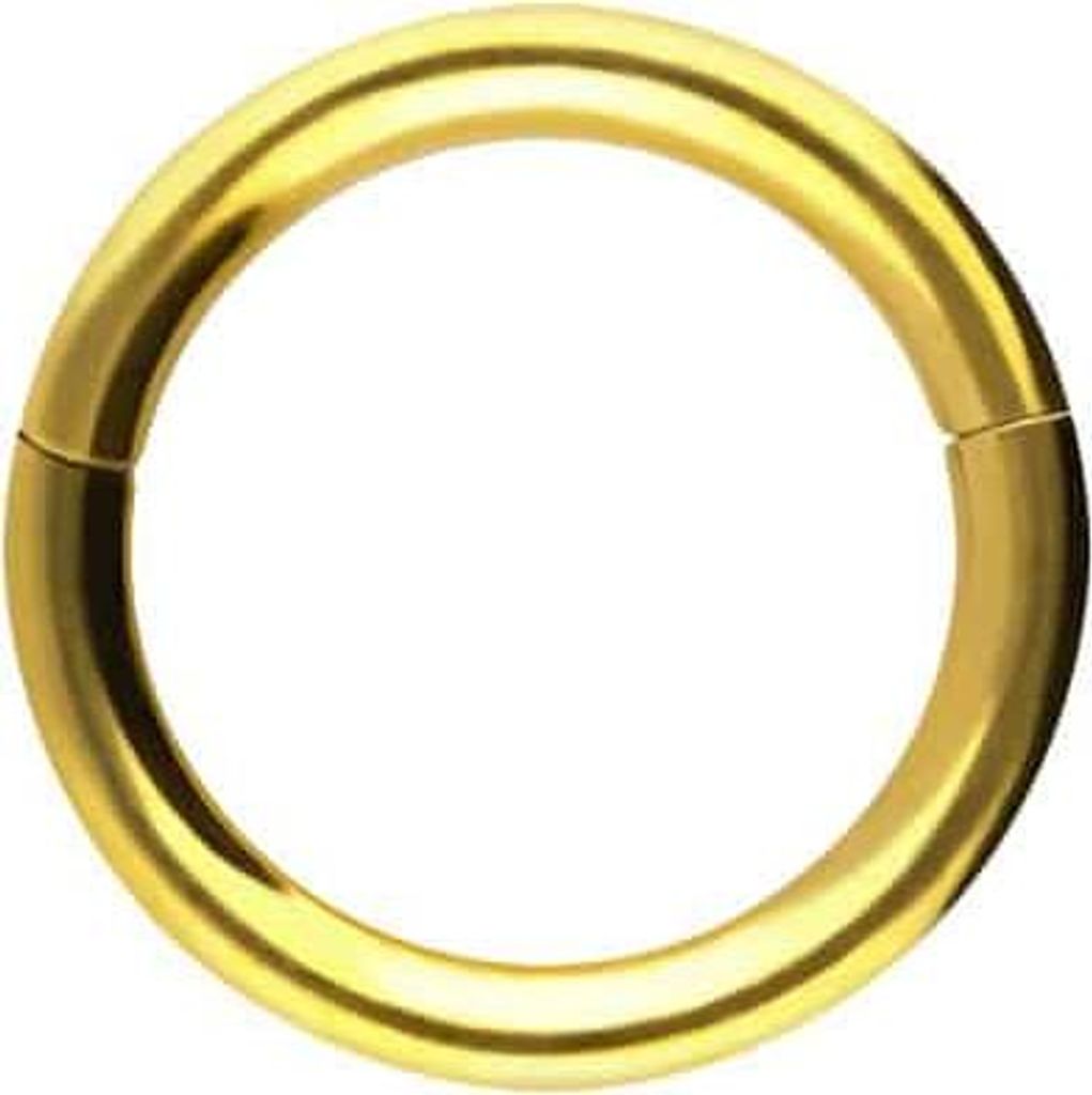 Ohrpiercing, Nasenpiercing, Septum Piercing Chirurgenstahl Segmentring Clicker Gold Innendurchmesser: 5mm + Stabstärke: 0,8mm