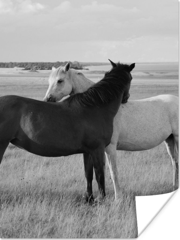 MuchoWow Poster Pferde - Tiere - Porträt - Schwarz-Weiß - Landleben 90x120 cm - Wohnzimmer