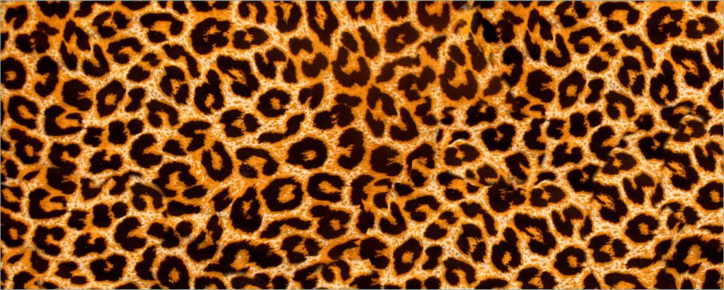 Wallario selbstklebendes Poster - Leopardenmuster in orange schwarz, Größe: 80 x 200 cm