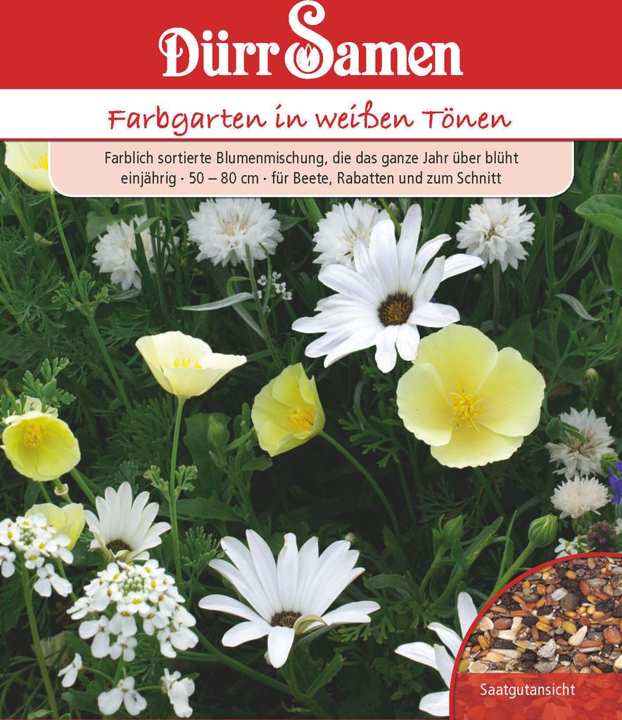 Traumgarten weiß | Blumensamen von Dürr Samen