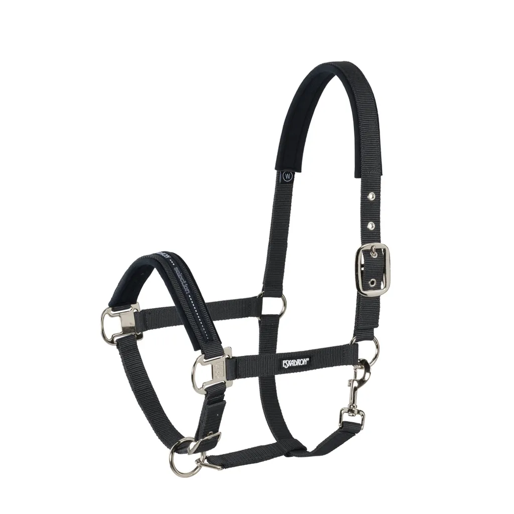 Eskadron Licol Basics avec boucle ardillon - Noir - Taille Poney P2