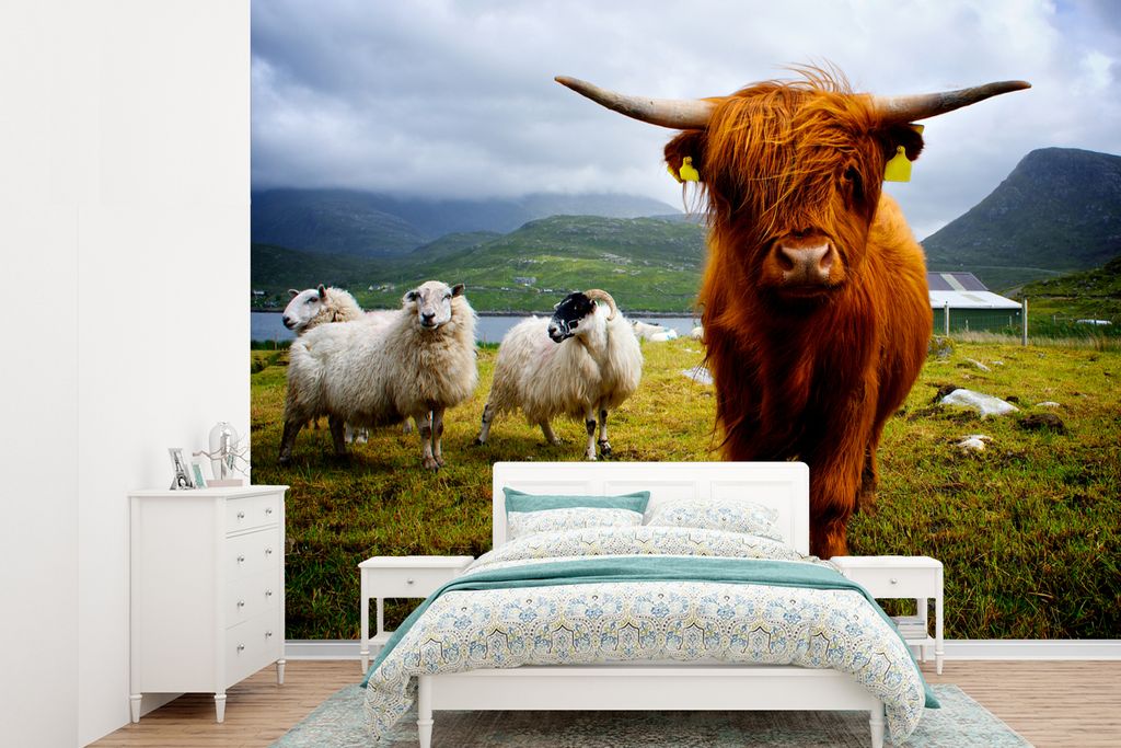 MuchoWow Fototapete für Wohnzimmer oder Schlafzimmer Wandtapete Vinyl Motivtapete Schottischer Highlander - Leicht - Schaf - 360x260 cm - Wohnzi...