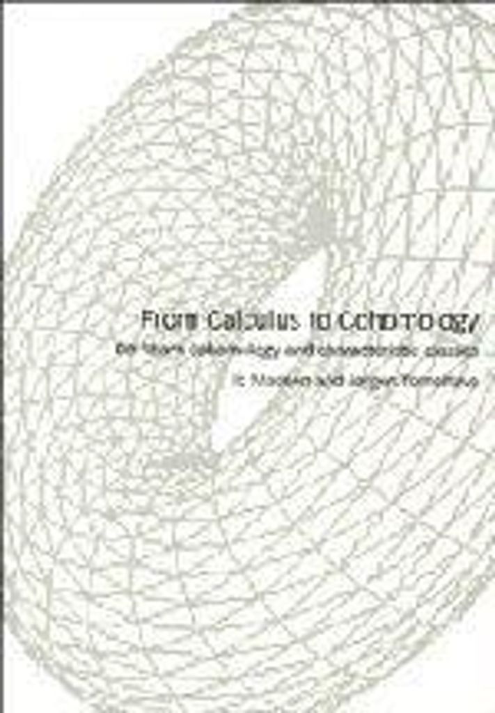 From Calculus to Cohomology