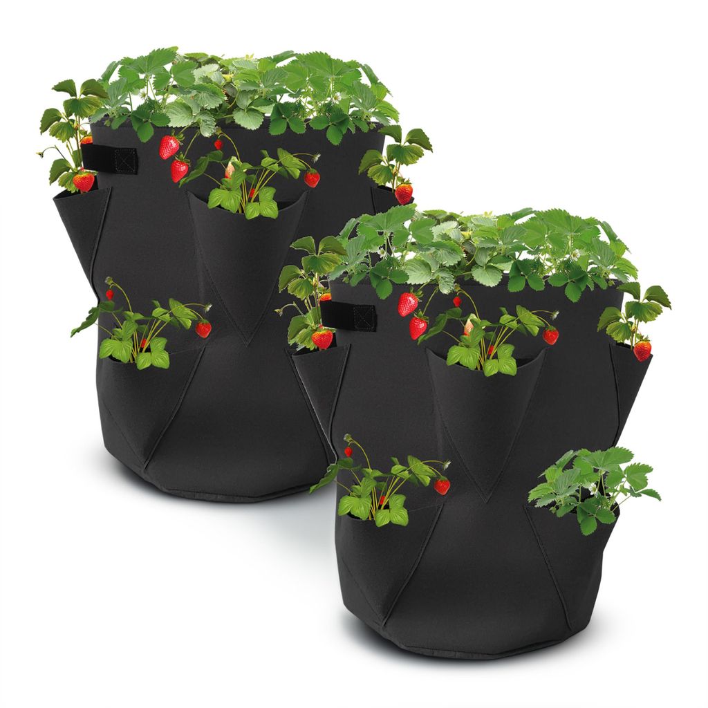 Erdbeer Pflanzsack im 2er Set - je 45 x 35 cm / 45 Liter - Produktbild 