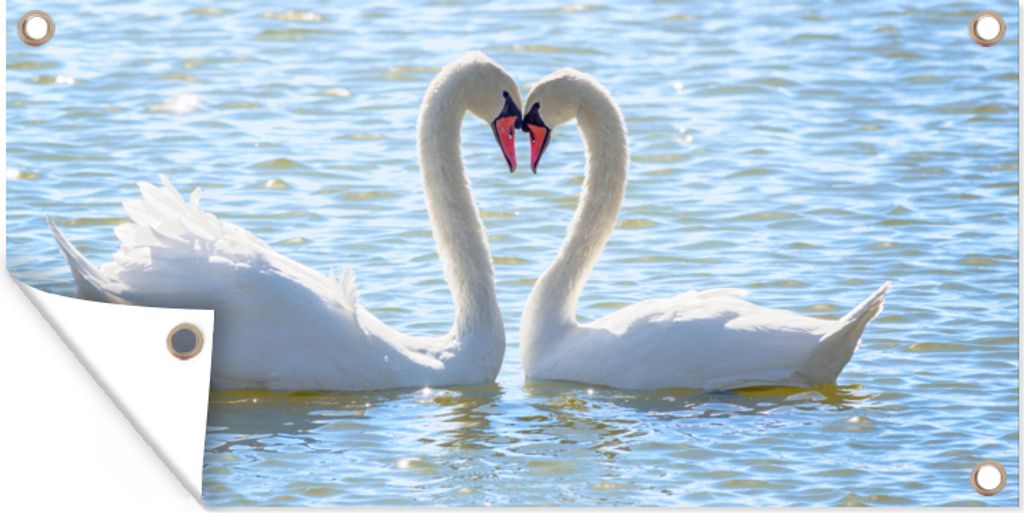 MuchoWow 80x40 cm Outdoor-Poster Gartendeko Sichtschutz Garten Poster für den Garten Vögel - Schwan - Wasser - Liebe - Sonne