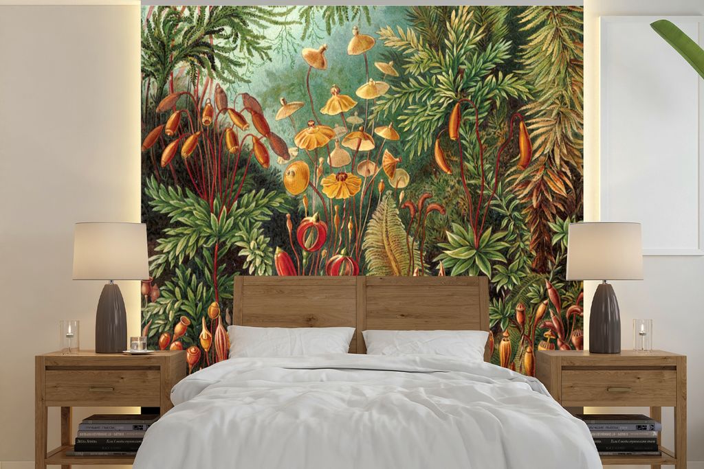 MuchoWow Fototapete für Wohnzimmer oder Schlafzimmer Wandtapete Vinyl Motivtapete Muscinae - Ernst Haeckel - Alte Meister - 220x220 cm - Tapeten