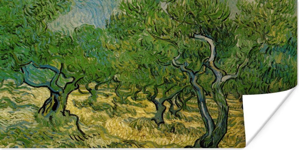 MuchoWow Poster Olivenhain - Vincent van Gogh 150x75 cm - ohne Rahmen